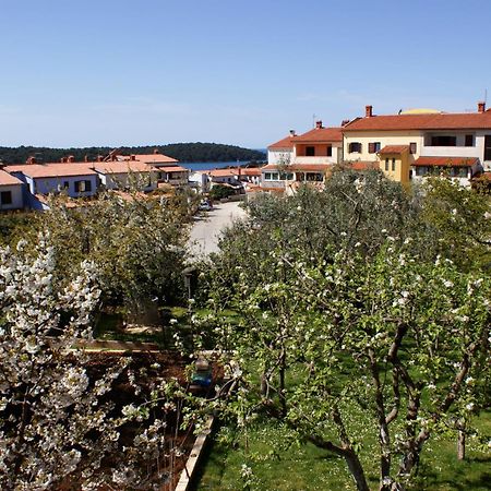 Apartments Cezar Vinkuran Exterior foto